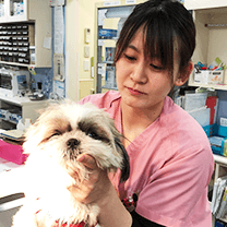 入院動物の治療補助