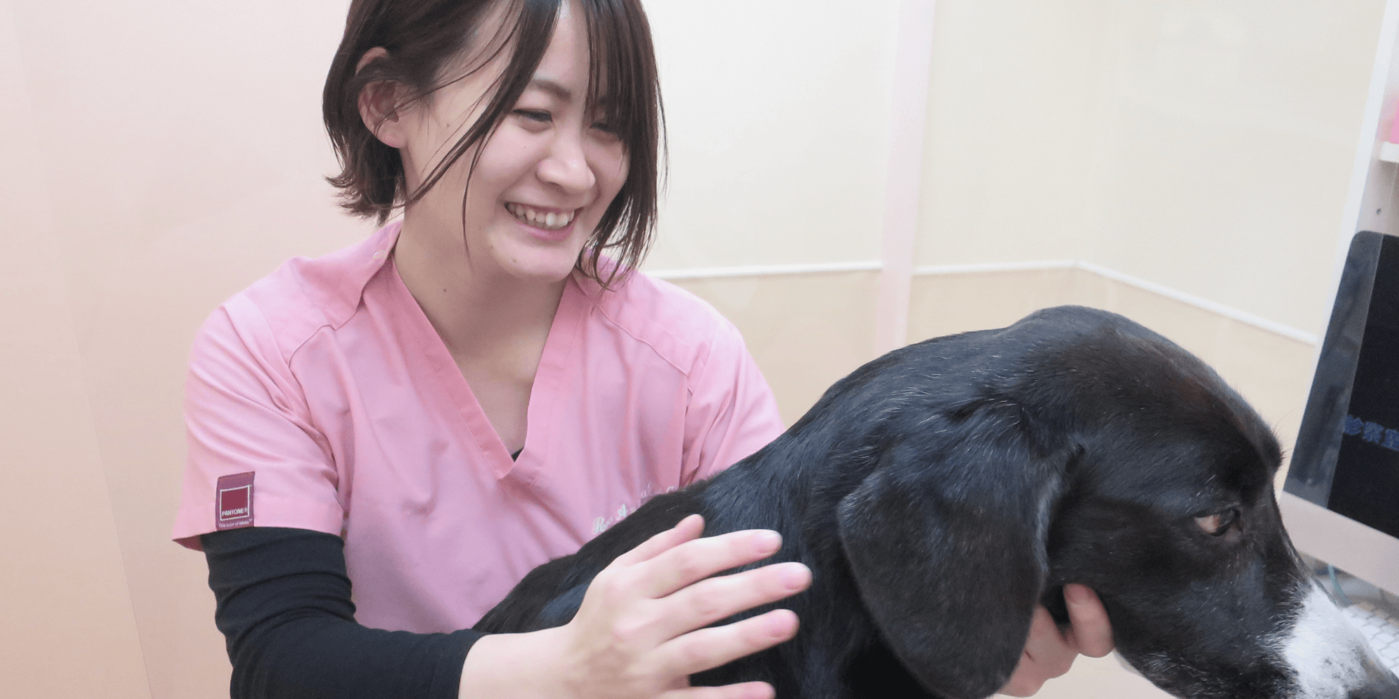獣医看護師と犬