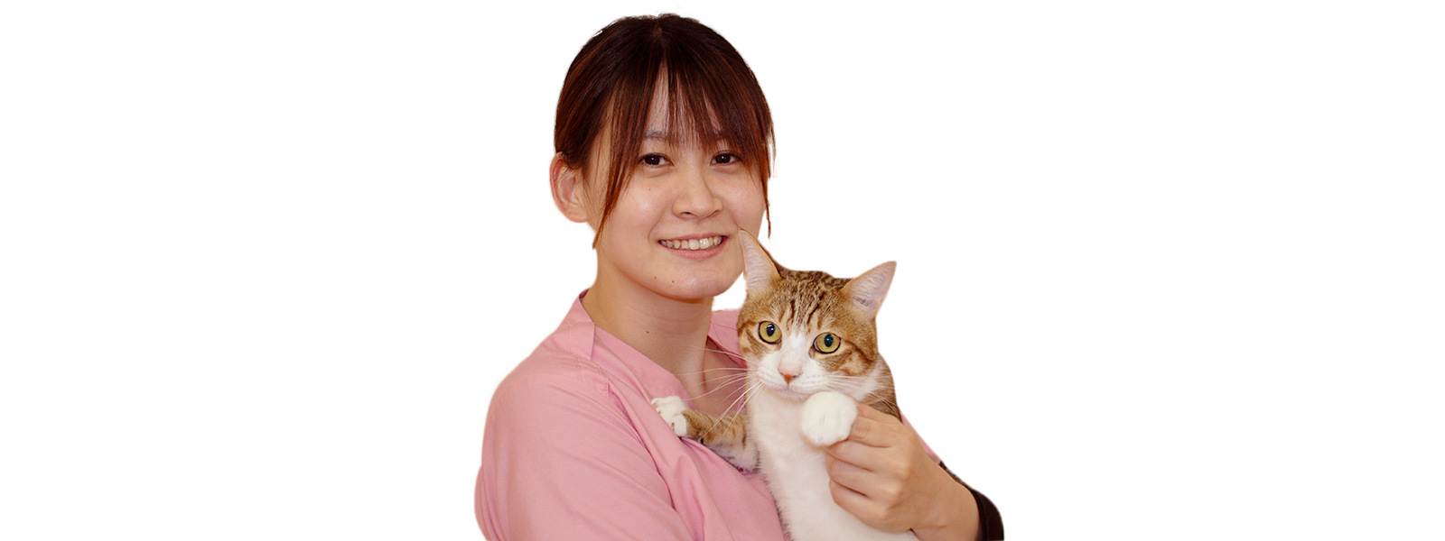 メインビジュアル02